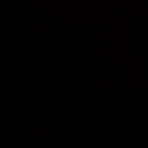 Meet your Posher, Corinna